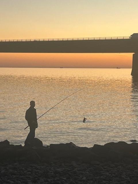 Storebaelt Camping Korsør Екстериор снимка